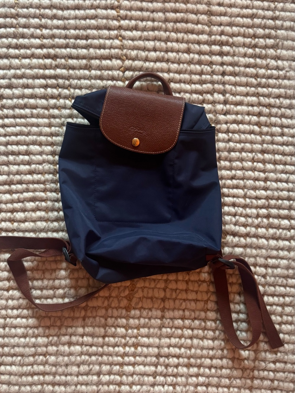 Longchamp Brown & Navy Nylon Backpack - Classic Men's Daypack